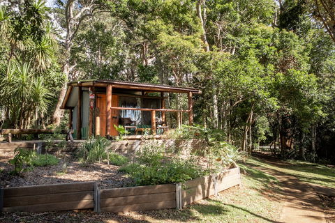 Binna Burra Rainforest Campsite - Darwin Holiday 1