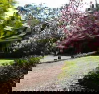 Curtis Falls Apartment - Darwin Holiday
