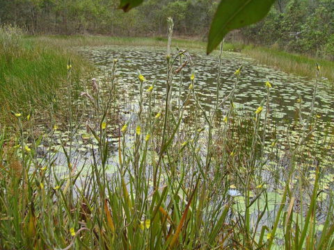Back To The Bush - Darwin Holiday 3