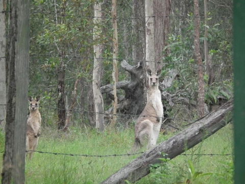 Back To The Bush - Darwin Holiday 6