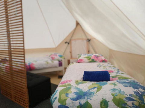 Glamping At Zeehan Bush Camp - Darwin Holiday 6