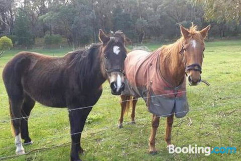 Heritage Bed & Breakfast - Darwin Holiday 3