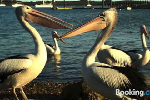 Schoolhouse Cottage American River - Darwin Holiday 1