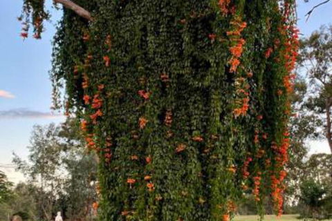 Amarina Farm Stay & Gardens - Darwin Holiday 6