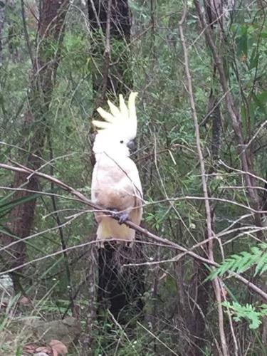 Comfortable Queen Sized Room Near Tuggerah Lake - Darwin Holiday 2