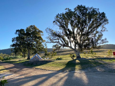 Mansfield Glamping - Darwin Holiday 3