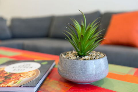 Urban Jungle In The Heart Of The CBD - Darwin Holiday 1