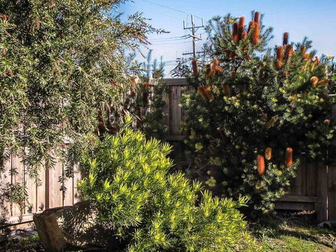 Ebbtide - Darwin Holiday 1