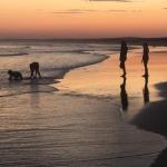 Cromarty Cottage 900m From Birubi Beach - Darwin Holiday 0