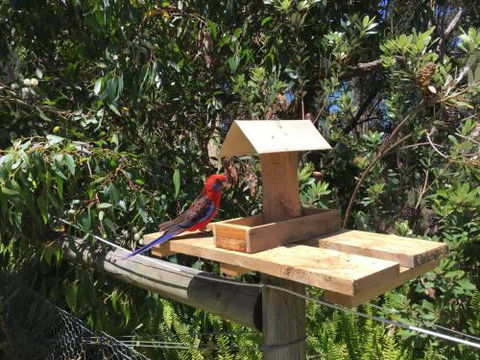 Rosella Cottage Waratah Bay - Darwin Holiday 1