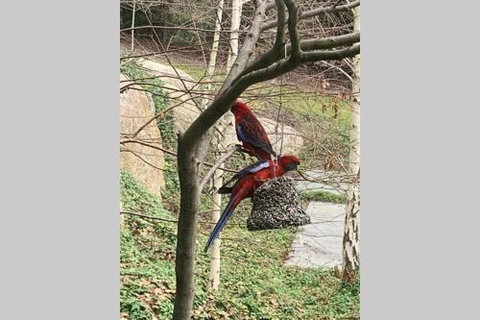 Mt Martha Couples Retreat - Darwin Holiday 4