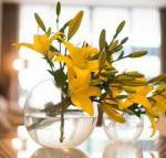 KUI Manhattan Apartments - Darwin Holiday