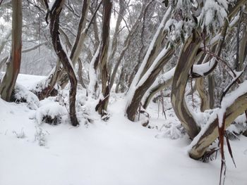 Twin Towers 302A - Darwin Holiday 2