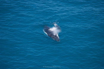 Apartments Located At Blue Seas Resort - Darwin Holiday 3