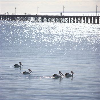Peppers Pier Resort - Darwin Holiday 3