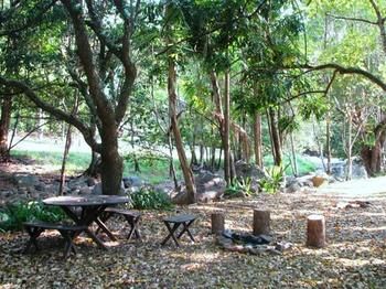 Mt Warning Holiday Park - Darwin Holiday 2