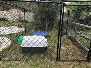 Spoilt People - Darwin Holiday 6