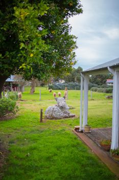 Davidsons Cottage - Darwin Holiday 5