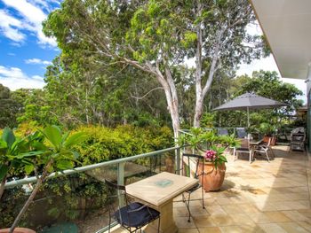 The Pleasure Dome - Darwin Holiday 0