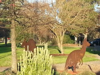 Ridge Runner - Darwin Holiday 4