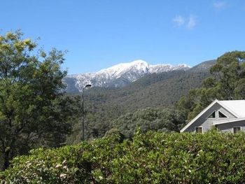 Ridge Runner - Darwin Holiday 6