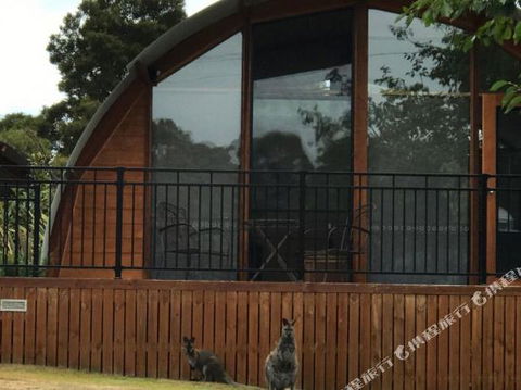 Bruny Island Accommodation 43 Degrees Beachside Studio Spa Apartments (1) - Darwin Holiday 1