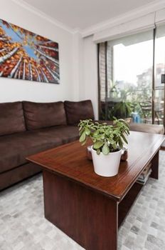 Potts Point Springfield Avenue (I) - Darwin Holiday 1