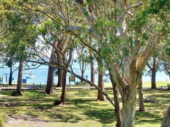Nicholli Bay Parklands Unit 32 2 Gowrie Avenue - Darwin Holiday 3