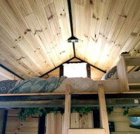 Big Tiny Dale View Tiny House - Darwin Holiday