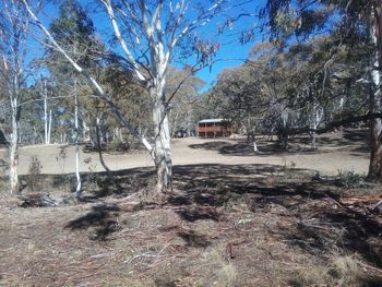 Gooandra Alpine Cabins - Darwin Holiday 6