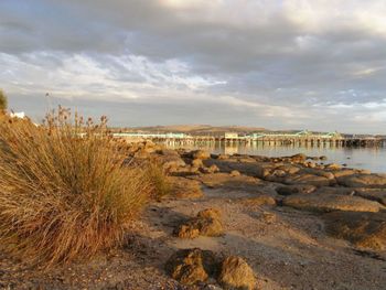 Port Lincoln Holiday Houses - Darwin Holiday 4