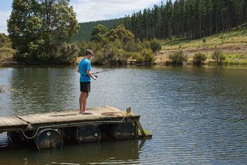 Nannup Valley Chalets - Darwin Holiday 1
