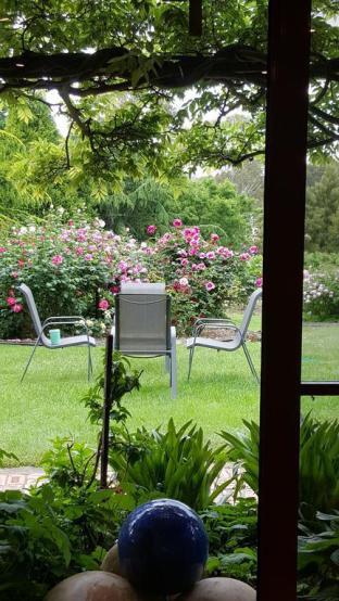 Wisteria Lodge - Darwin Holiday 5