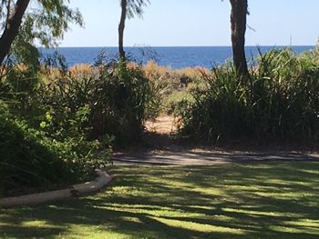 On The Shores Of Geographe Bay - Darwin Holiday 5