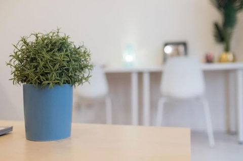 Willis Wolli Crk 35 - Darwin Holiday 3