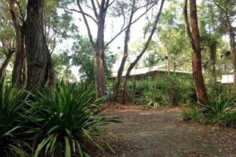 Port Stephens Koala Sanctuary - Darwin Holiday 2