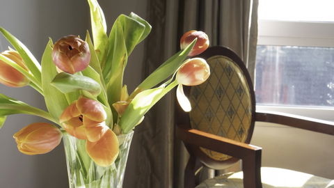 Areca Launceston - Darwin Holiday 6