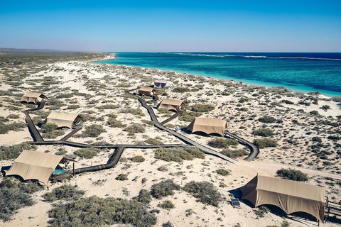 Sal Salis - Darwin Holiday 1