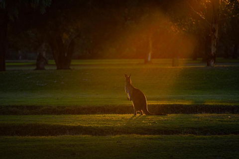 Renmark Resort - Darwin Holiday 5