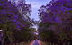Renmark Resort - thumb 3