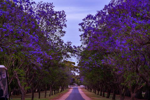 Renmark Resort - Darwin Holiday 3