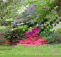 North East Rest Awhile Bed  Breakfast - Darwin Holiday