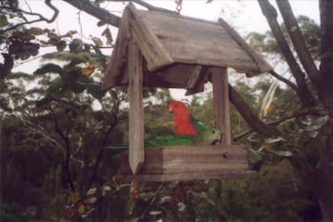 Arcadia Cottage - Darwin Holiday 2