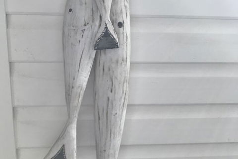 Byron Springs - Darwin Holiday 1