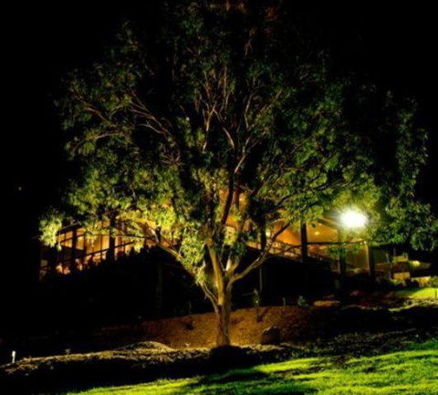 Oceanview Estate Vineyard Cottages - Darwin Holiday 4