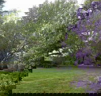 Petersons Armidale Winery  Guesthouse - Darwin Holiday