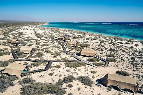 Sal Salis - Darwin Holiday 1