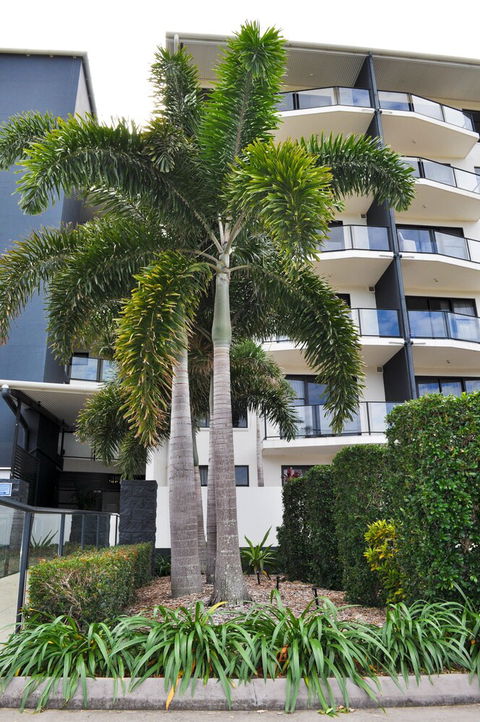 The Bay - Darwin Holiday 2