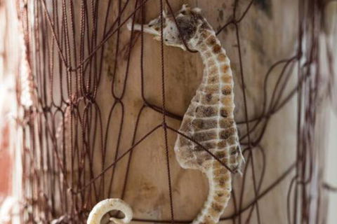 Larus Waterfront Cottage - Darwin Holiday 6