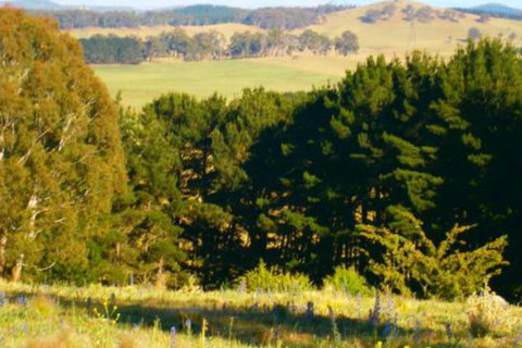 Highlands Motor Inn - Darwin Holiday 4